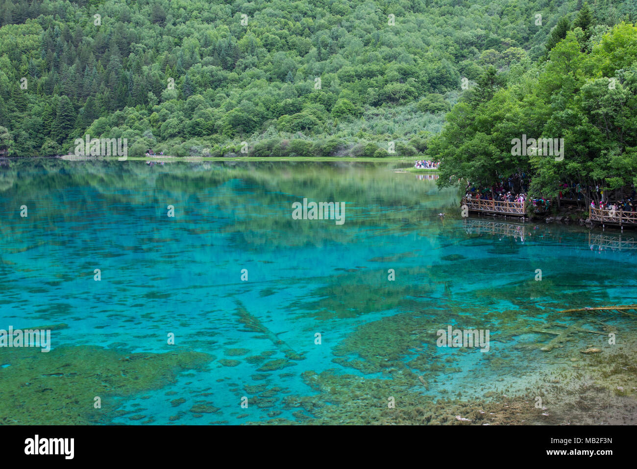 Blue lake in China, Jiuzhaigou Stock Photo