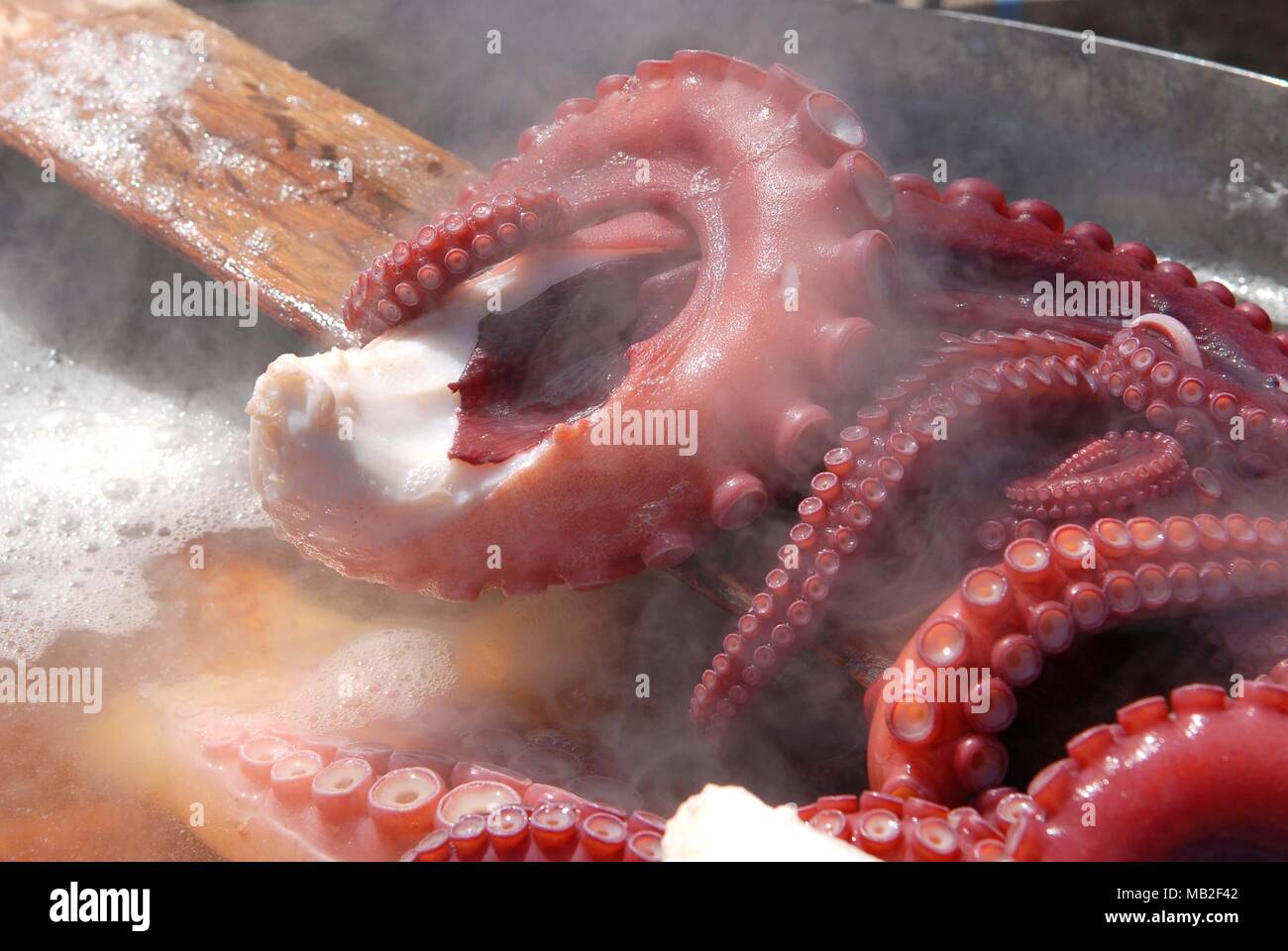 Boiled octopus Stock Photo