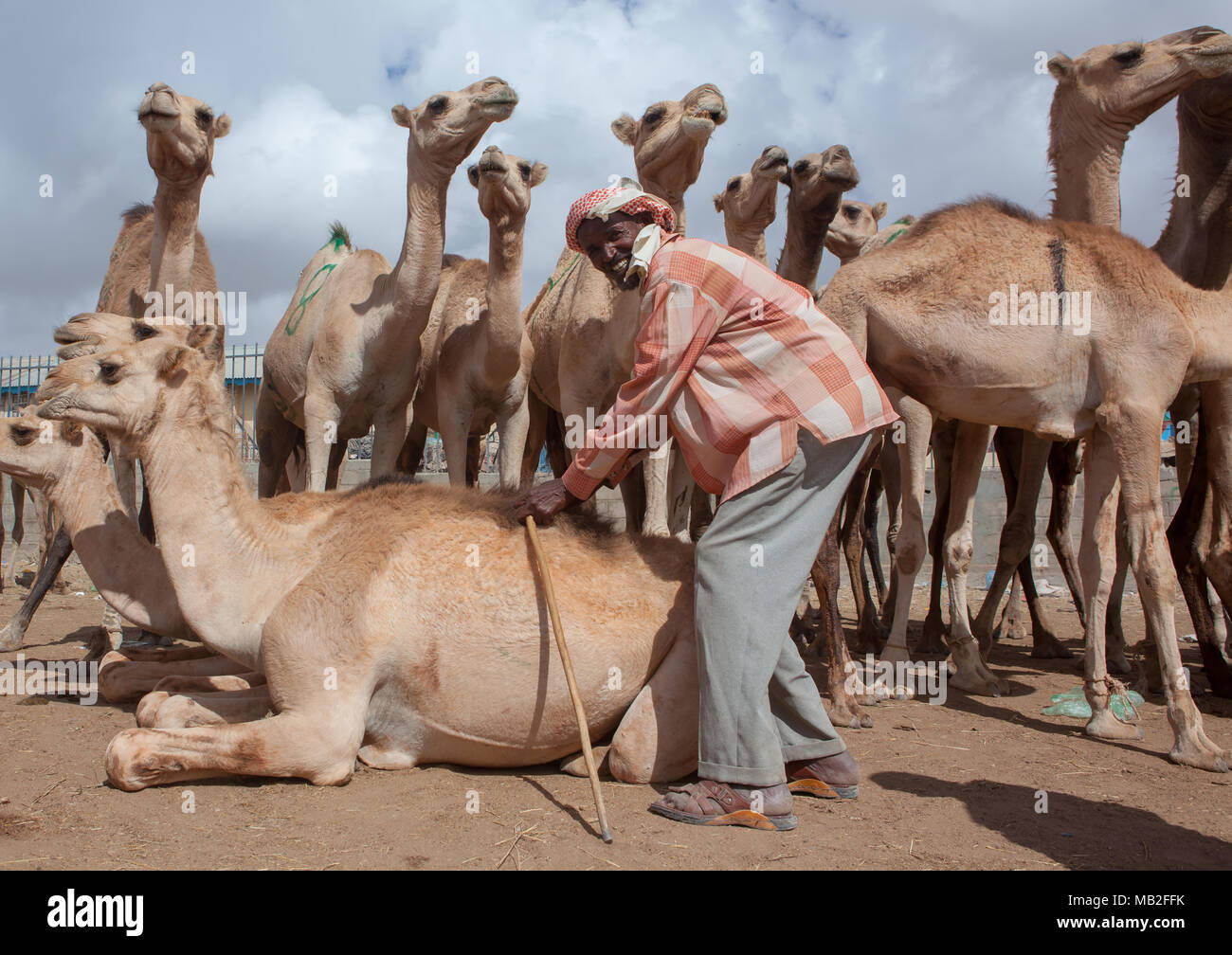 Soma2772 hi-res stock photography and images - Alamy