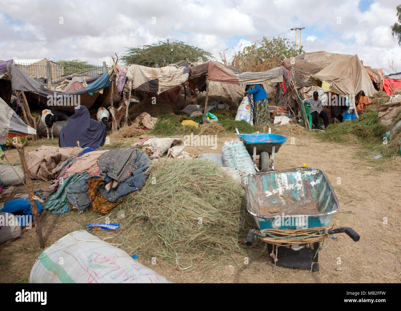 Fodder for animals in a market, Woqooyi Galbeed region, Hargeisa ...