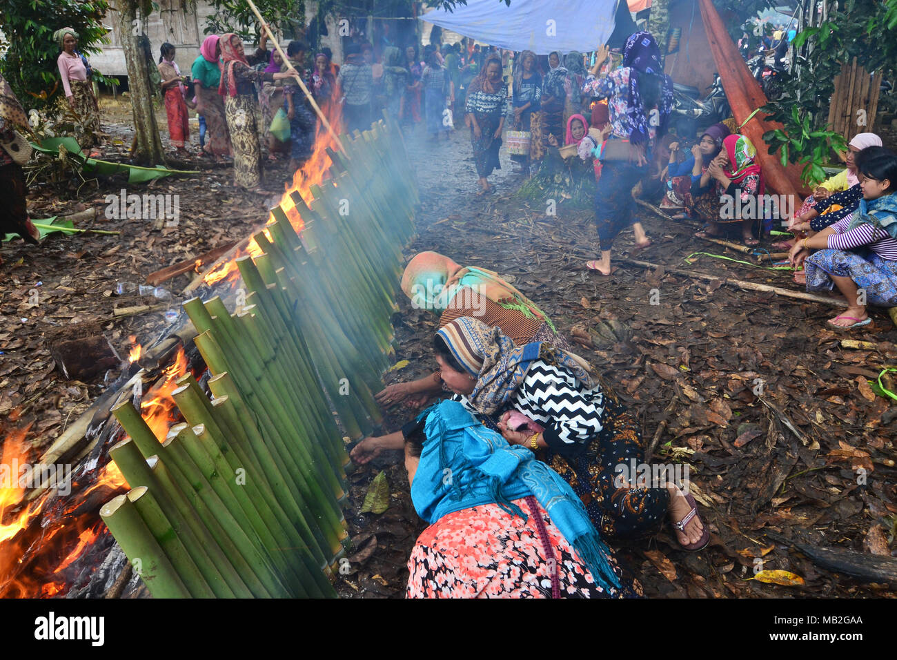 Meratus Dayak women make traditional food from sticky rice and cooked with bamboo then burned, the food is called Lamang. Traditional food from borneo. Stock Photo