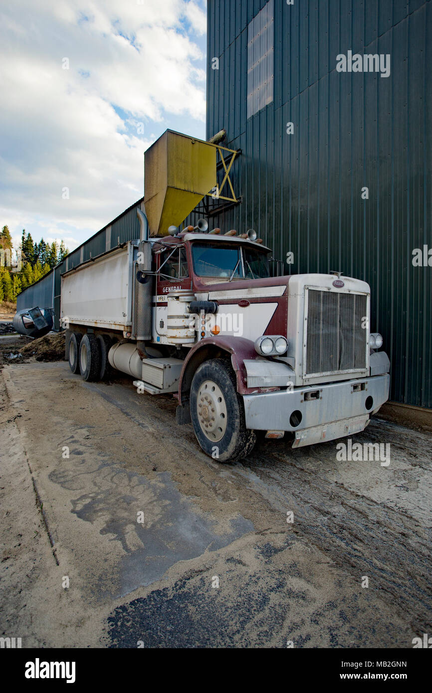 Large north american dump truck hires stock photography and images Alamy