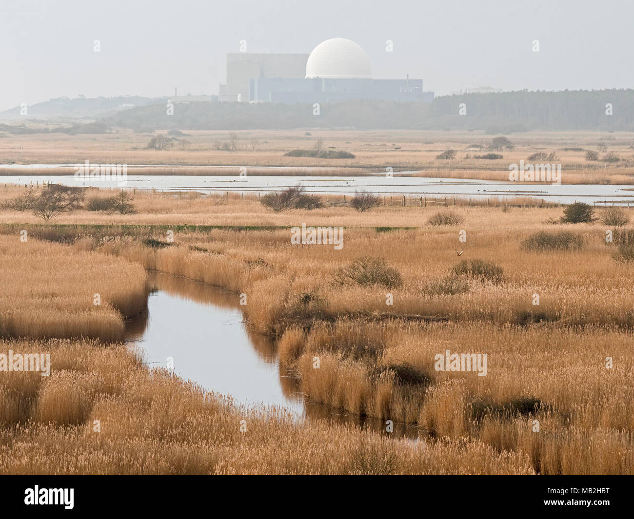 View from Dunwich Hearh across Minsmere RSPB Reserve  with Sizewell Poer Station in distance winter Stock Photo