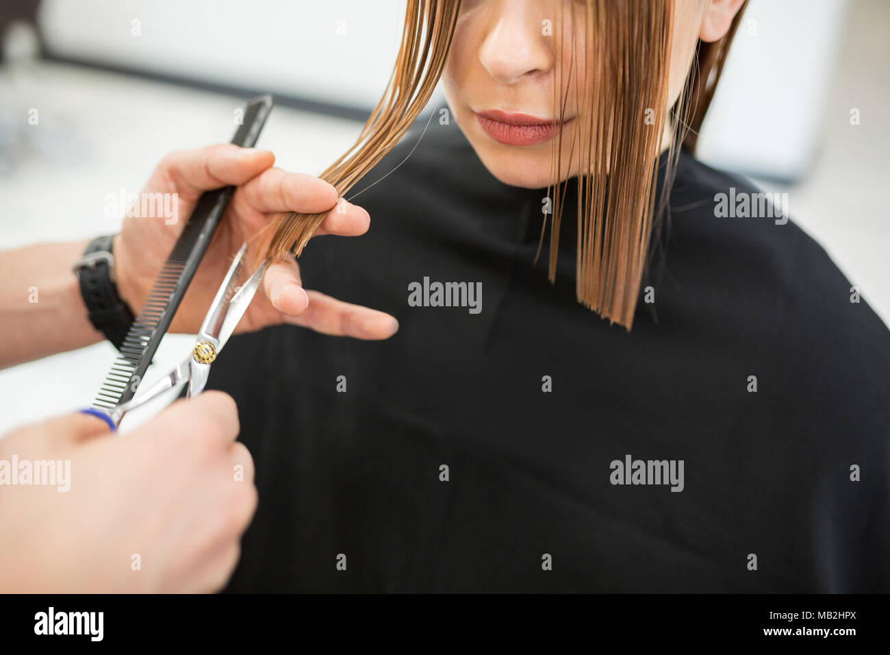 Cropped portrait of woman having wet hair cut at hairdresser Stock Photo Alamy