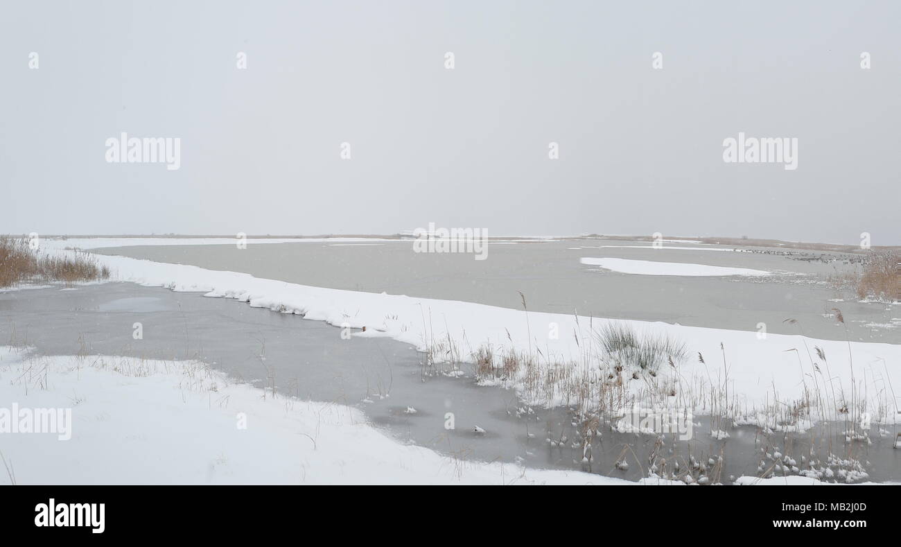 Ice covered scrape viewed from Bishop Hide on Cley NWT reserve North Norfolk February Stock Photo
