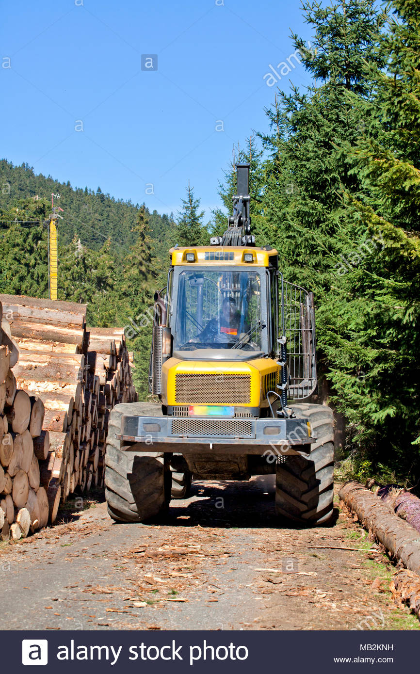Lumber Industry Stock Photos & Lumber Industry Stock Images Alamy