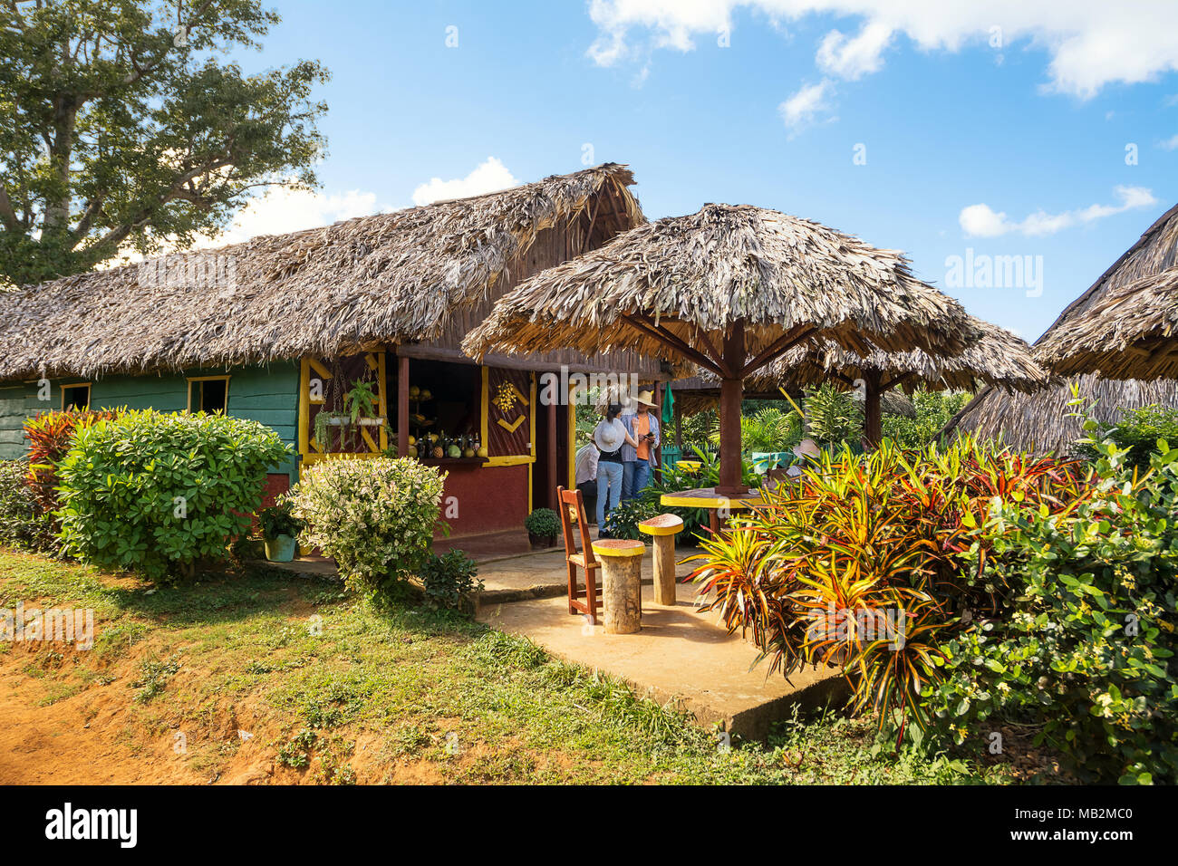 Vinales, Cuba - December 5, 2017: Cubans and tourists relaxing at farm bar Stock Photo