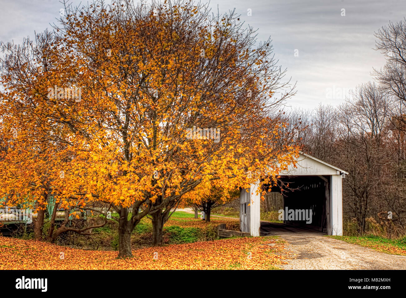 The South Denmark Road Covered Bridge in Ohio Stock Photo - Alamy