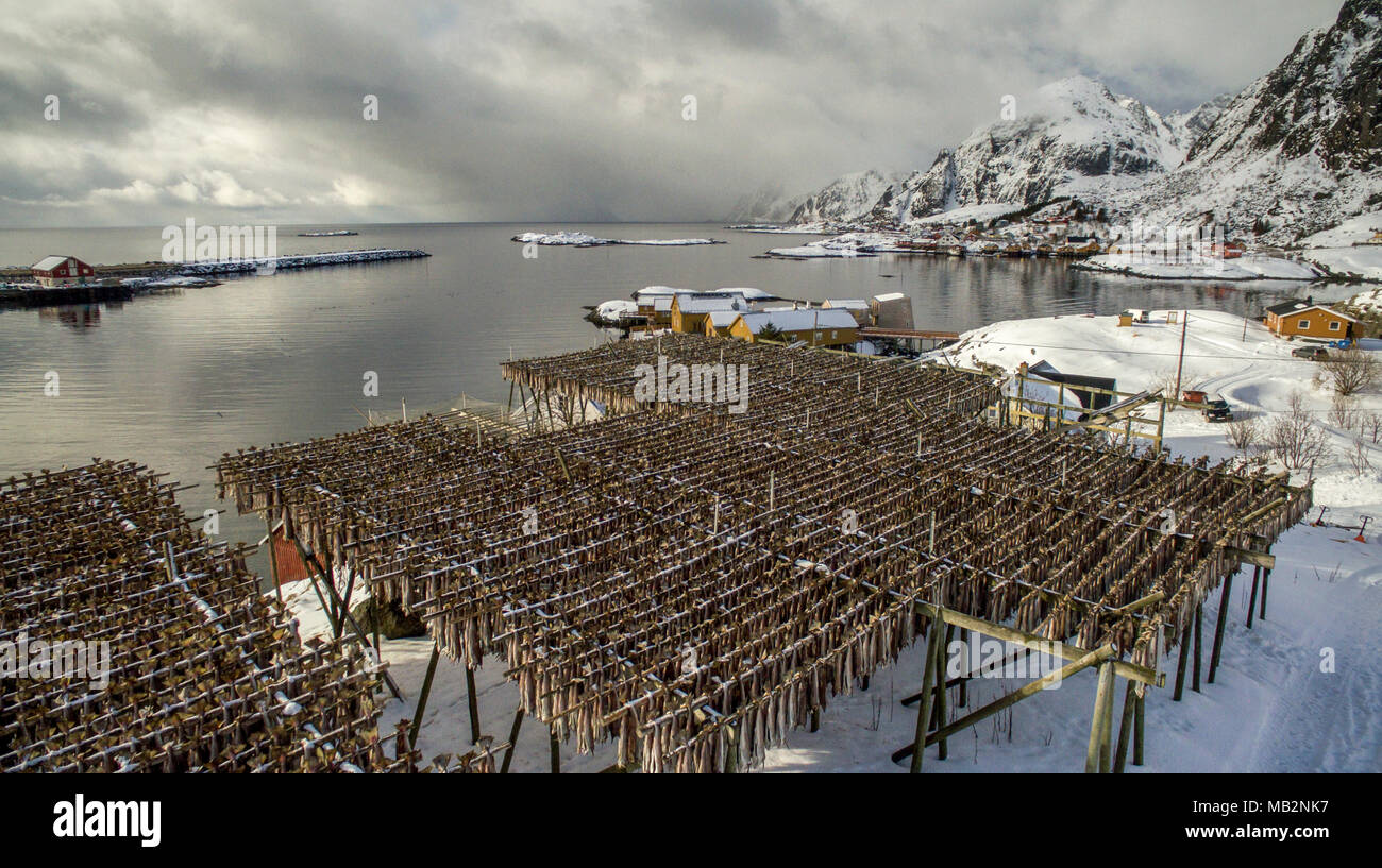 Fish racks in Sorvagen, Moskenesoya, Lofoten, Norway Stock Photo - Alamy