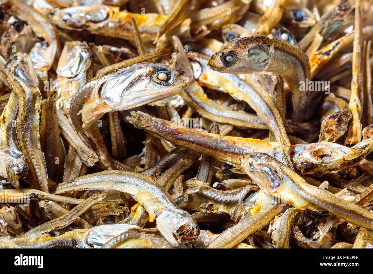 Close up of Japanese dried infant sardine used as seasoning in Japanese