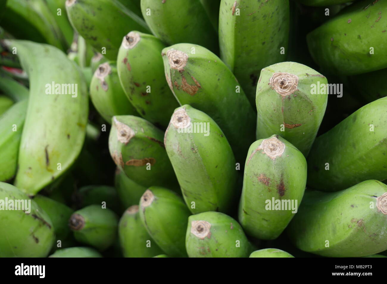 life isn't too short to buy green bananas Stock Photo Alamy