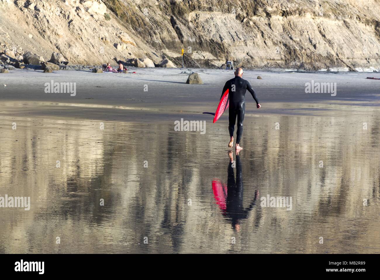 Male Surfer in Wet Suit carrying red surfboard during low tide on