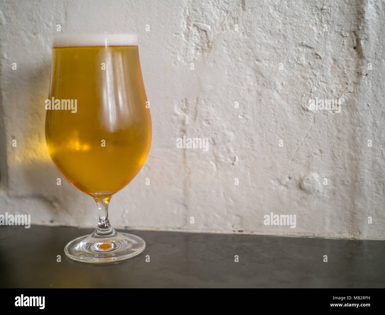 Closeup of tulip glass filled with Belgian beer on a bar counter top. Stock Photo