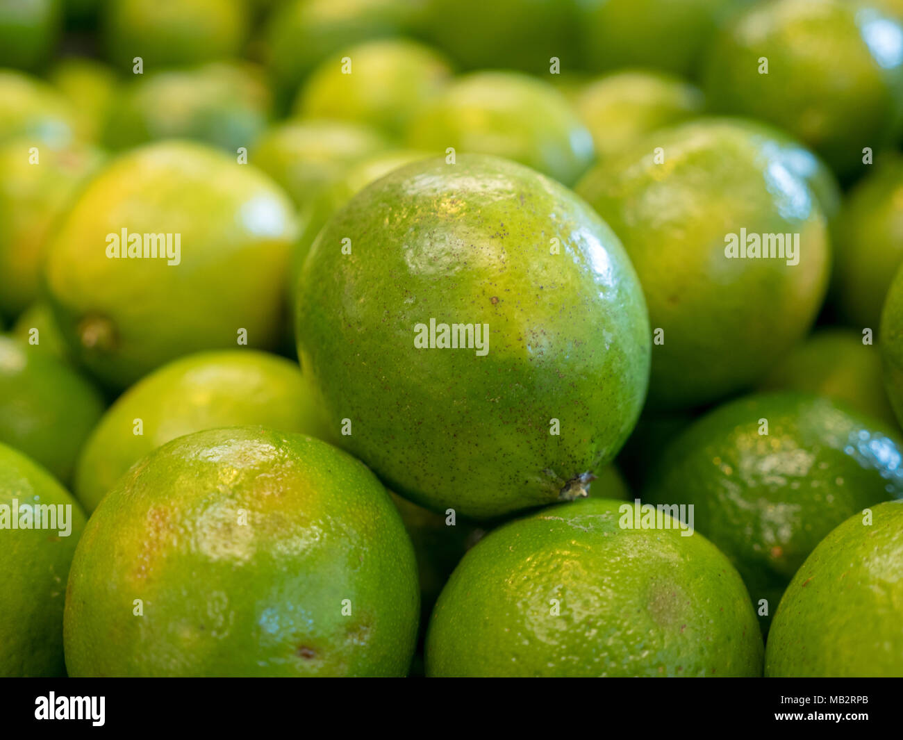 Lime for sale at farmer's market Stock Photo Alamy