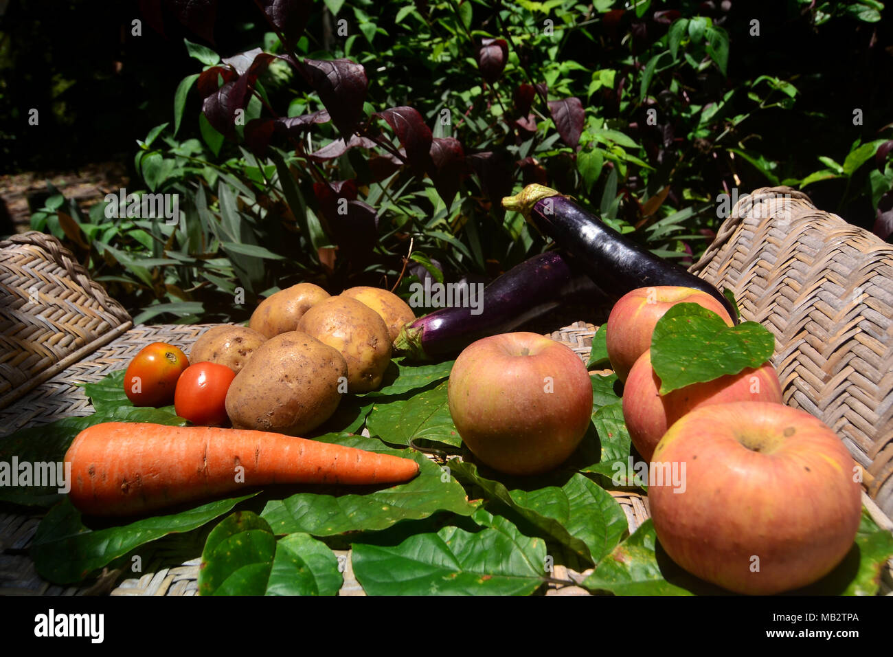 The fruit yard hires stock photography and images Alamy