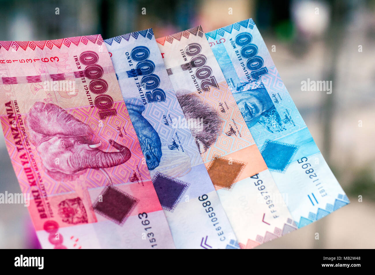 The four available banknotes from Tanzania in the denonmination of Tanzanian shillings: 10,000, 5,000, 2,000 and 1,000, photographed on location in Da Stock Photo