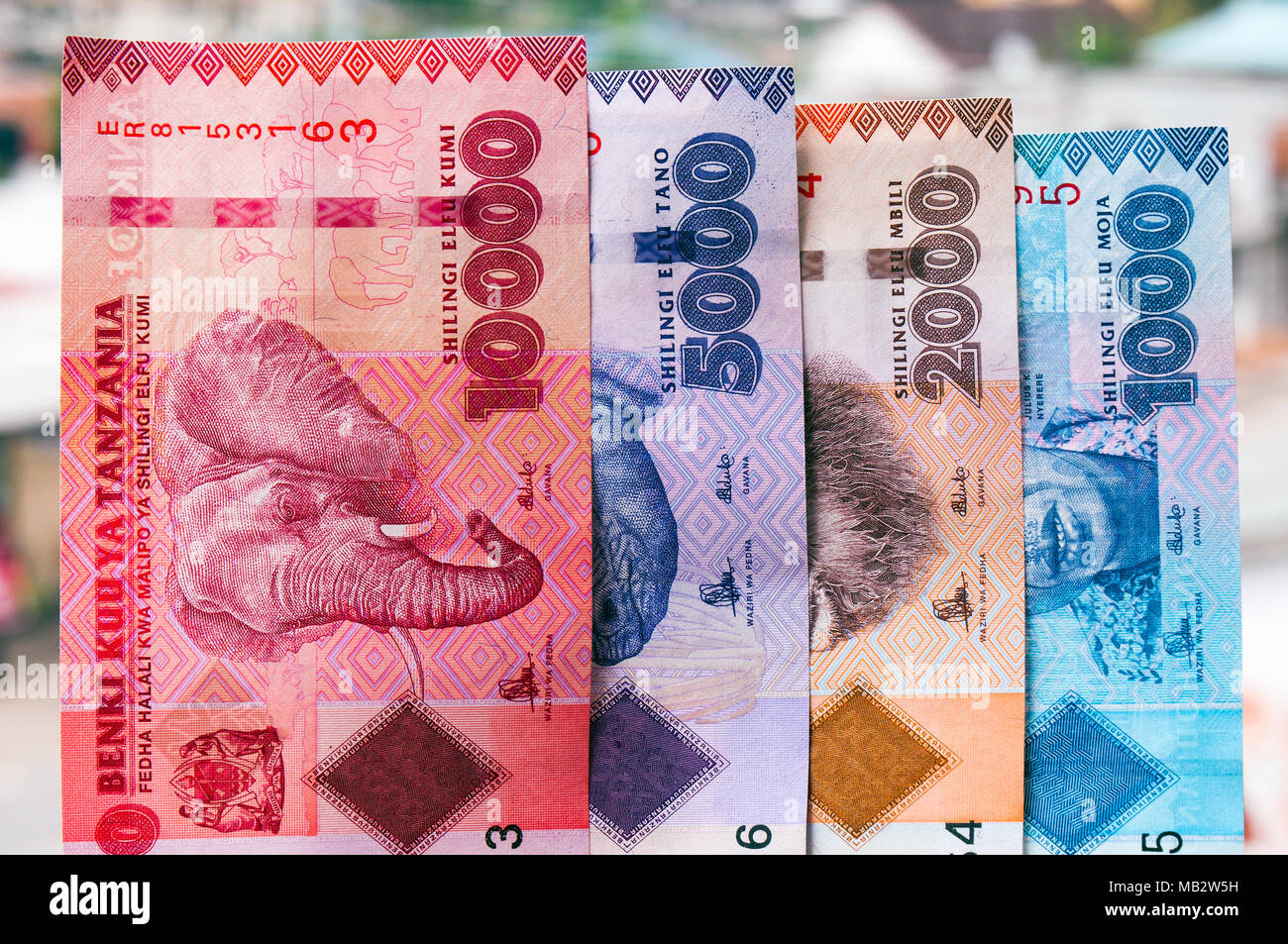 The four available banknotes from Tanzania in the denonmination of Tanzanian shillings: 10,000, 5,000, 2,000 and 1,000, photographed on location in Da Stock Photo