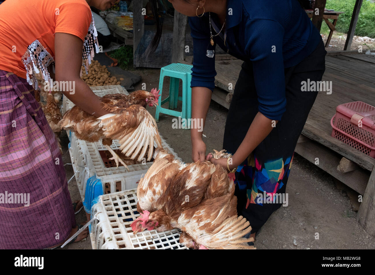 Dead and live chickens are for sale at the Demoso market in Kayah State Stock Photo