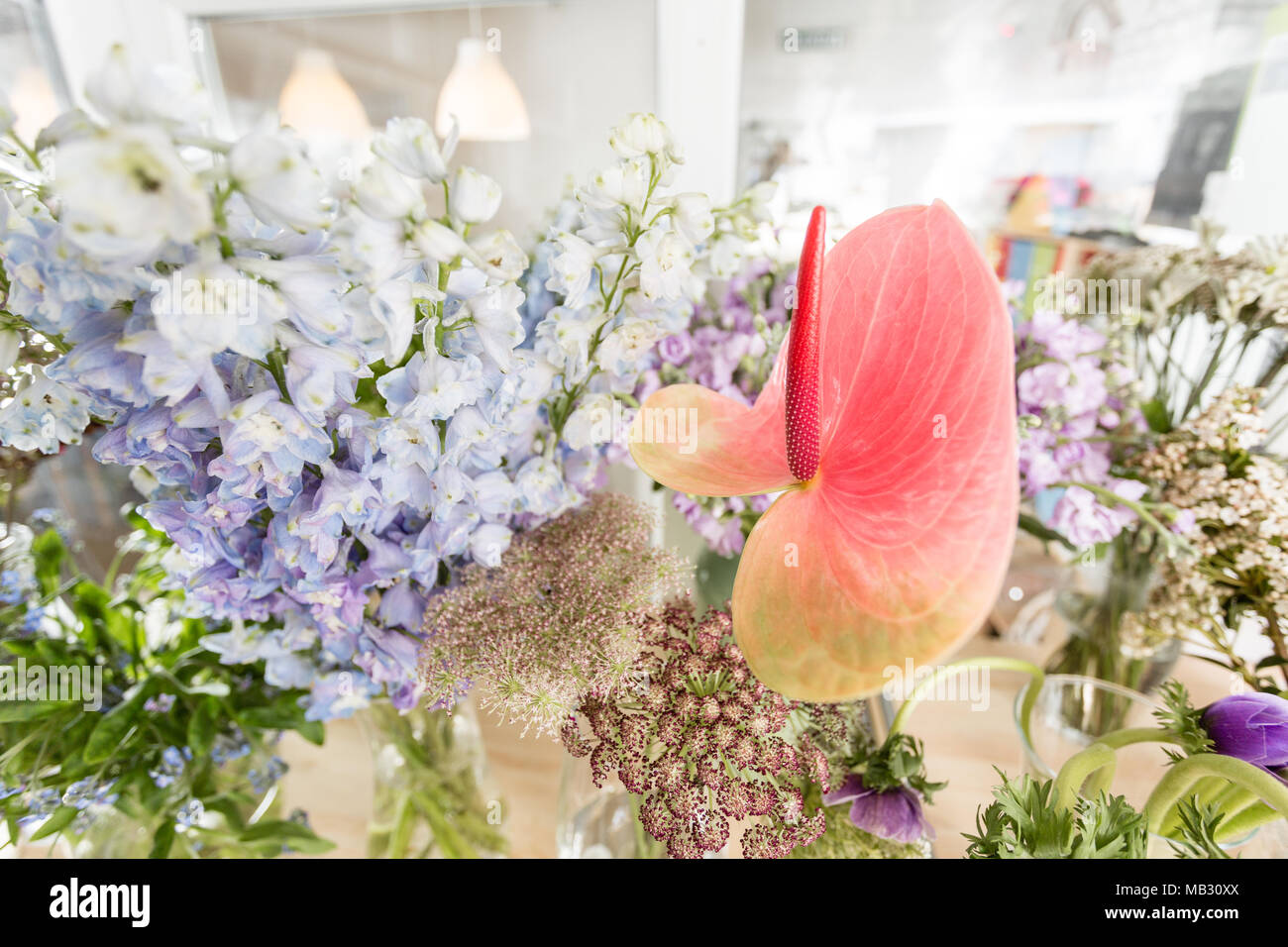 Flower shop concept. Different varieties fresh spring flowers in