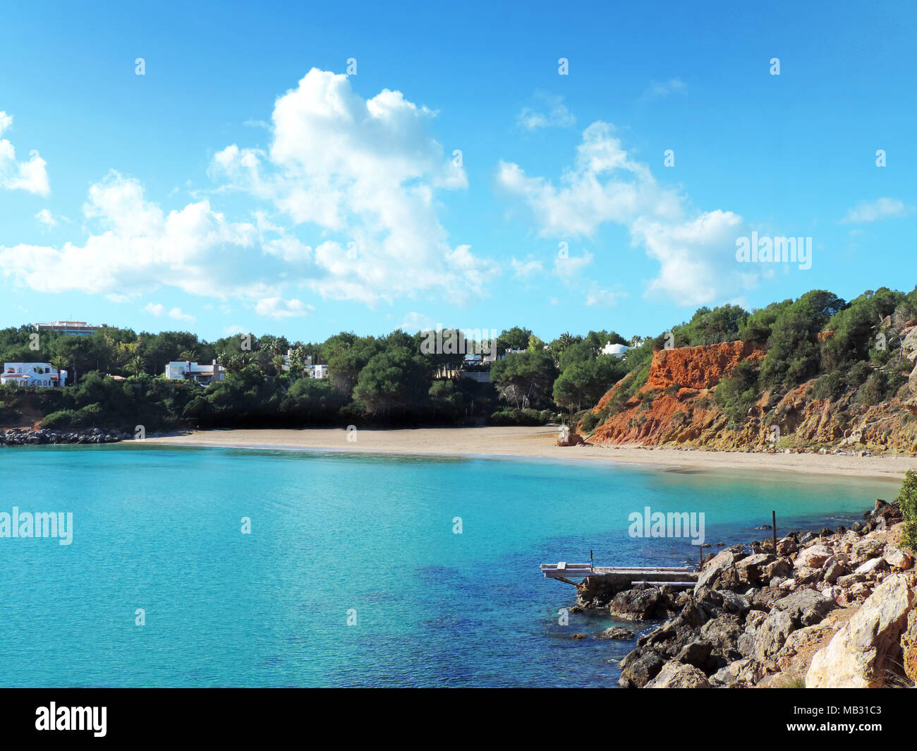 Beautiful beach with turquoise water and pine trees. Panoramic view over Cala Llenya, Ibiza Island. Stock Photo