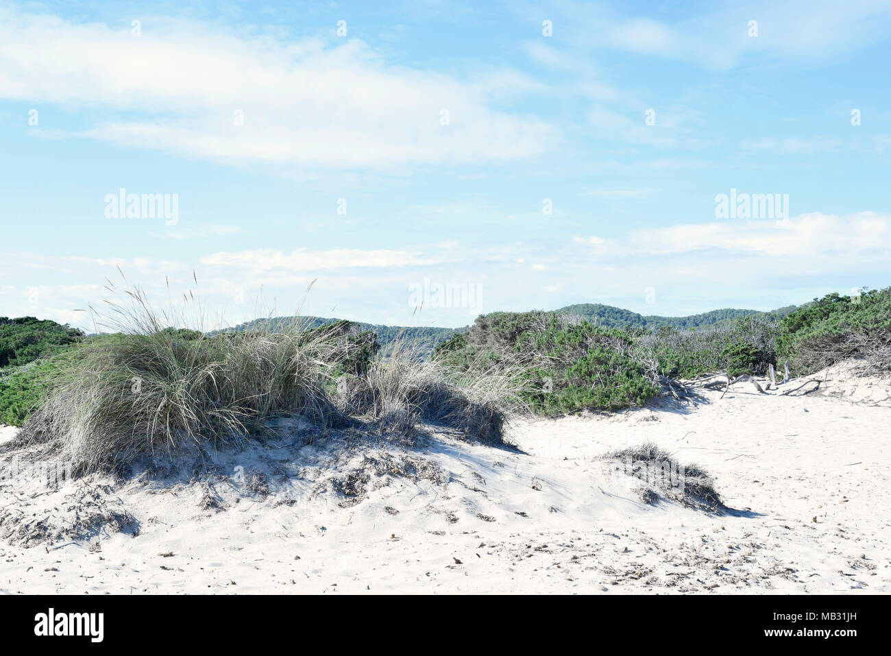 Beach background with blue sea, beach dunes and grass. Sea scene with white sand and copy space. Summer vacations. Stock Photo