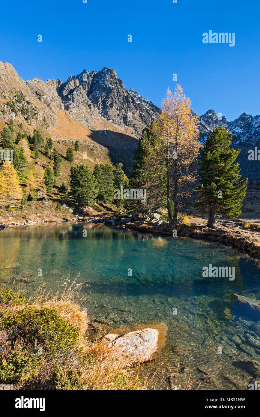 Lake Berglisee in the Samnaungruppe, in the back Mittagskopf, Mathon im Paznauntal, Tyrol, Austria Stock Photo
