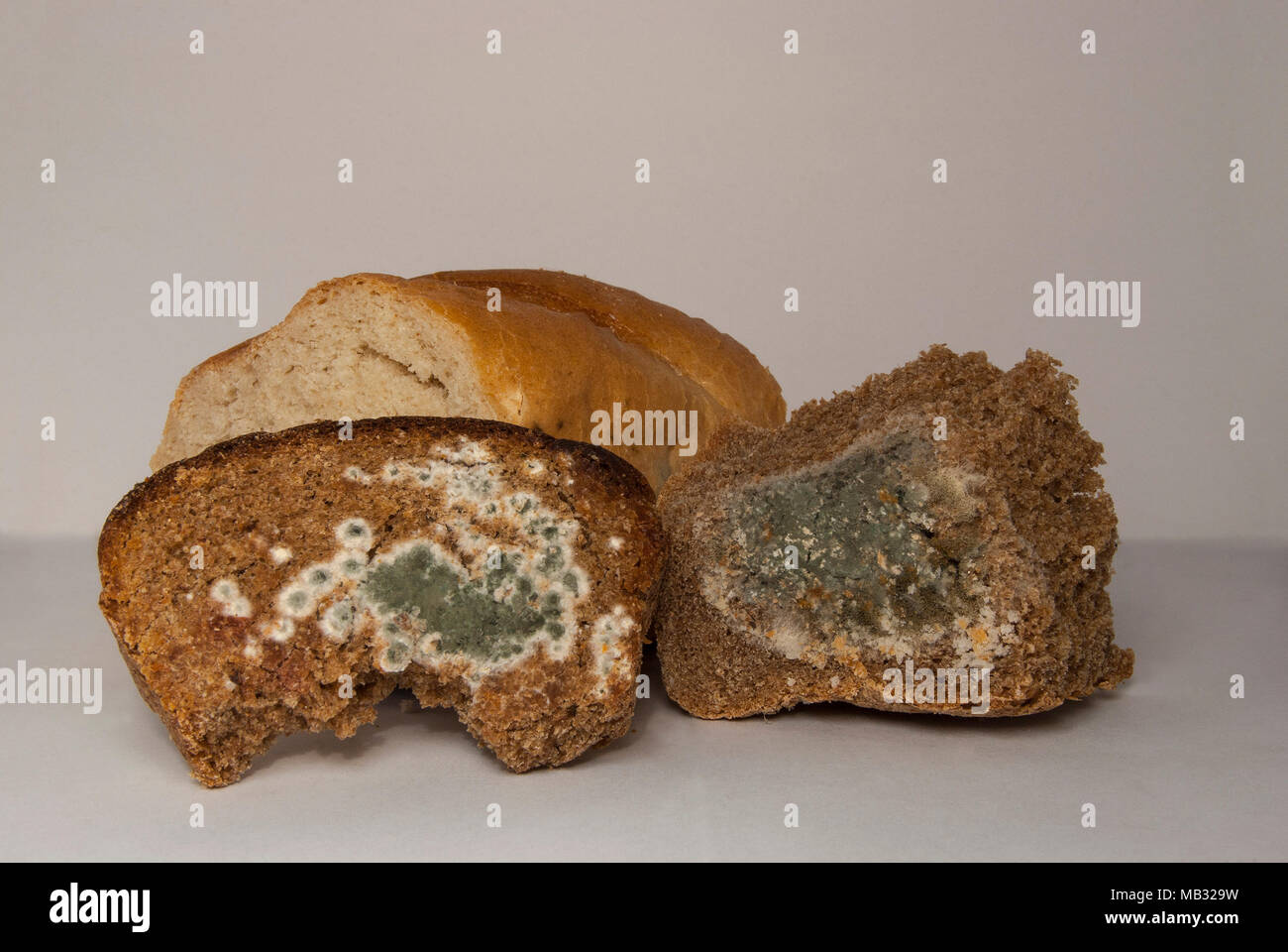 Wheat and rye bread, covered with mold. A spoiled product Stock Photo