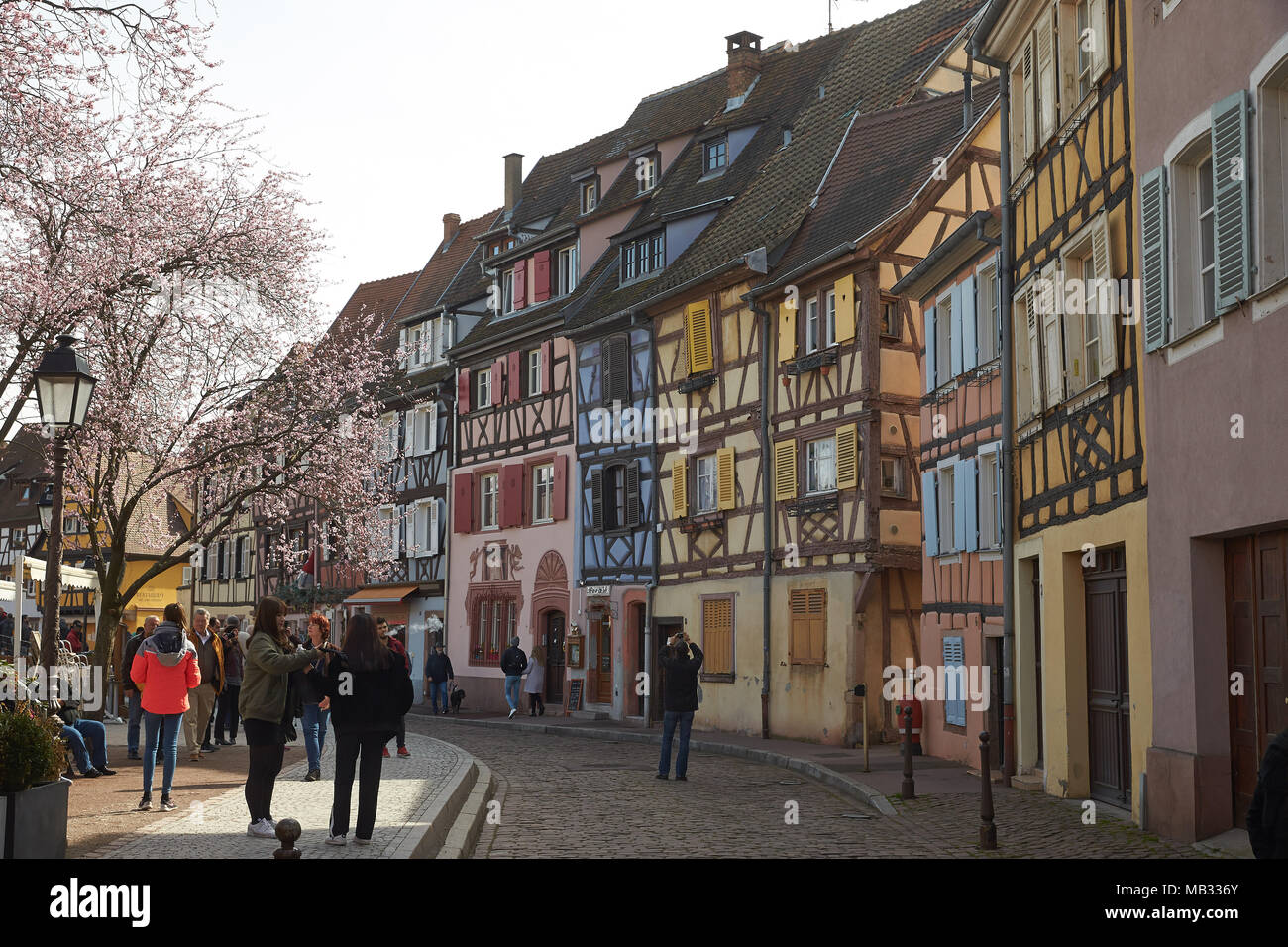 Half-timbered houses in the Old Town, Petite Venise, Colmar, Alsace, France Stock Photo
