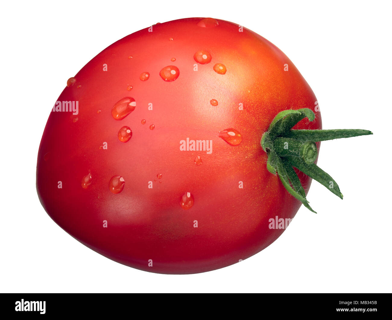 Oxheart Cuore di bue tomato (Solanum lycopersicum), whole, with dewdrops Stock Photo
