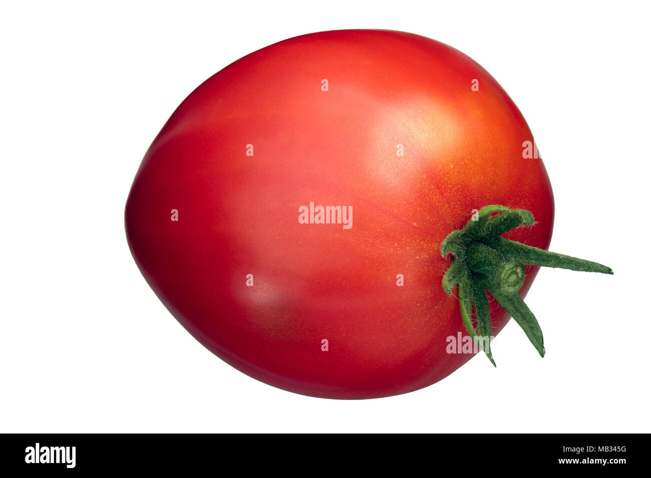Oxheart Cuore di bue tomato (Solanum lycopersicum), whole Stock Photo