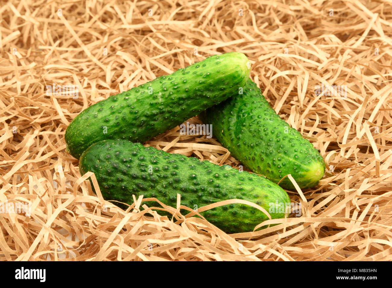 Cucumber grass Cucumber grass
