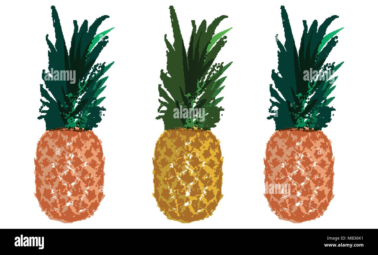 Vector Single Sketch Pineapple Stock Vector Image & Art - Alamy