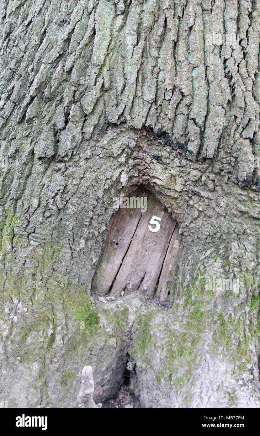 Fairy Door Stock Photos Fairy Door Stock Images Alamy