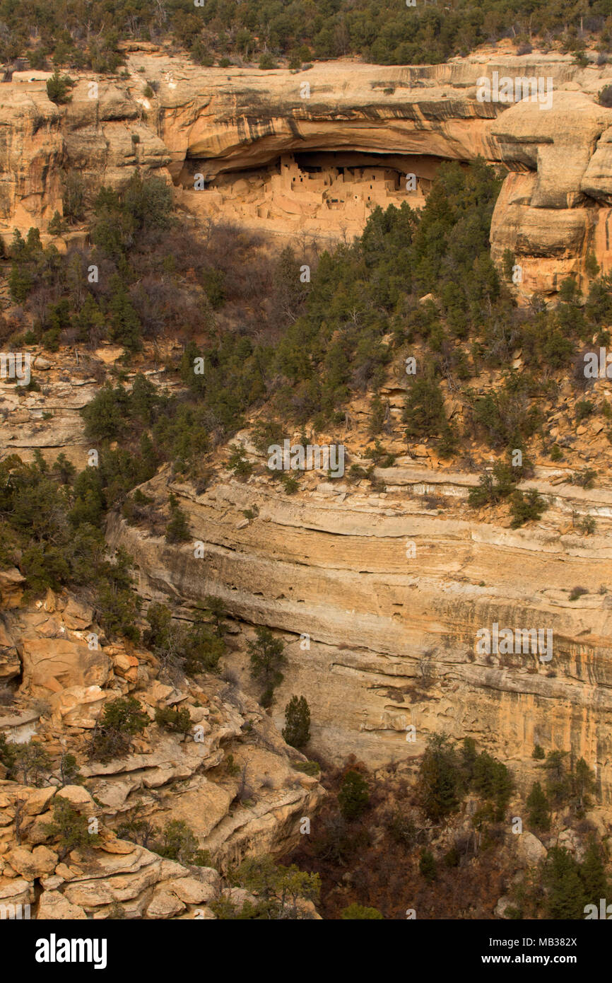 Cliff Palace, Mesa Verde National Park, Colorado Stock Photo