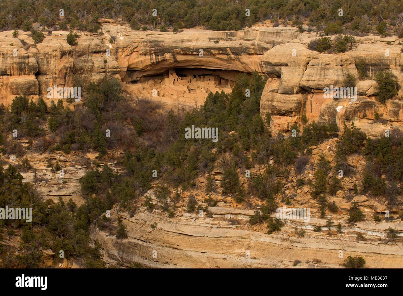 Cliff Palace, Mesa Verde National Park, Colorado Stock Photo - Alamy