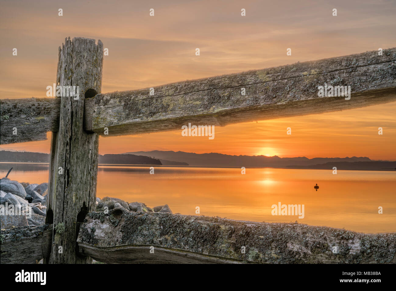 Split rail fence at dawn Stock Photo - Alamy