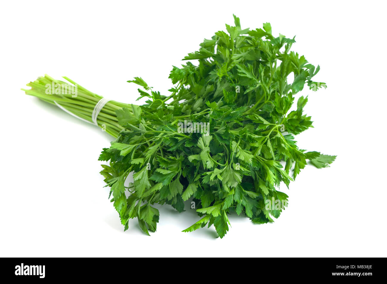 parsley bunch tied with ribbon isolated on white background Stock Photo ...