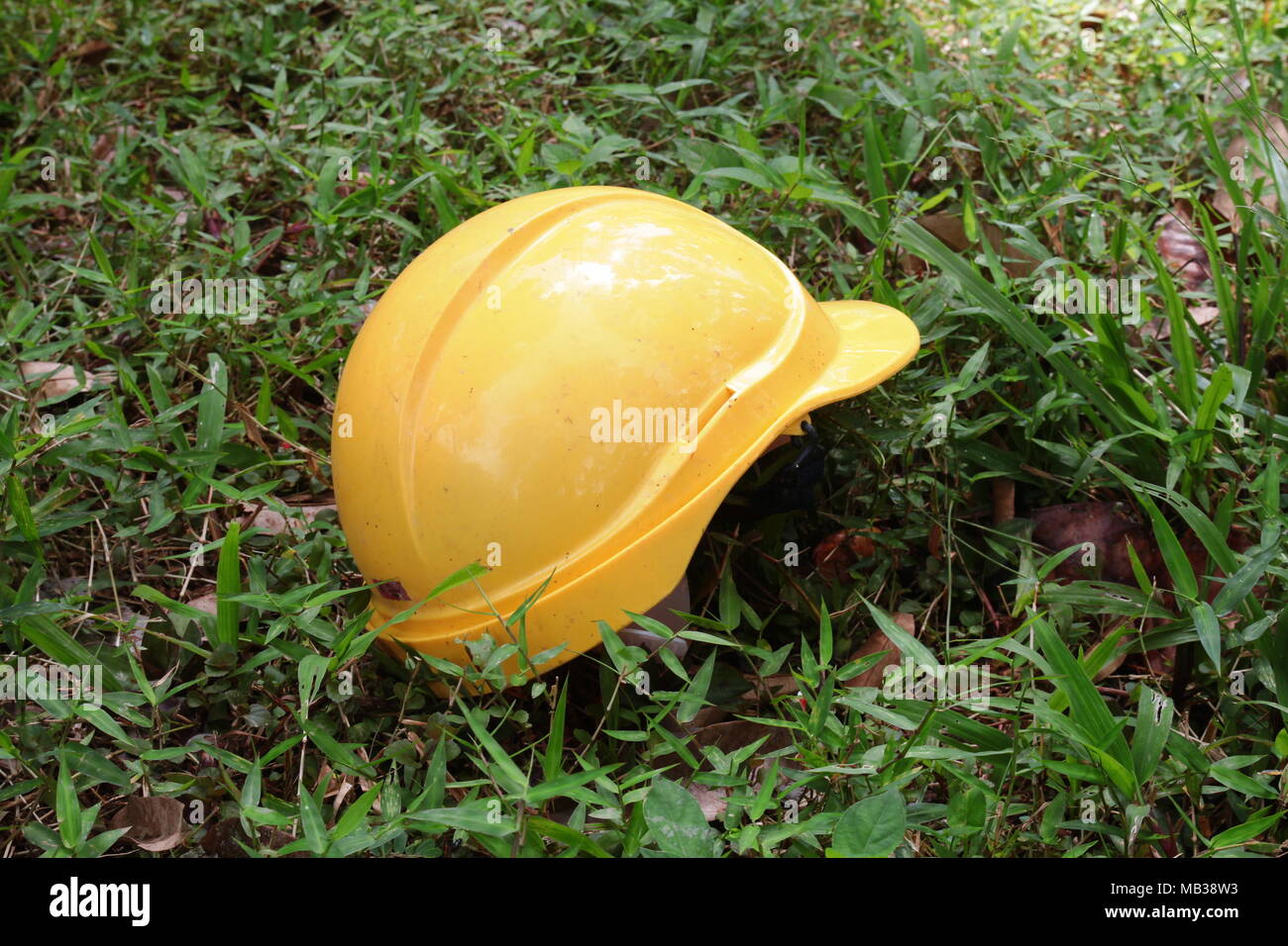 Safety helmet in yellow colour Stock Photo Alamy