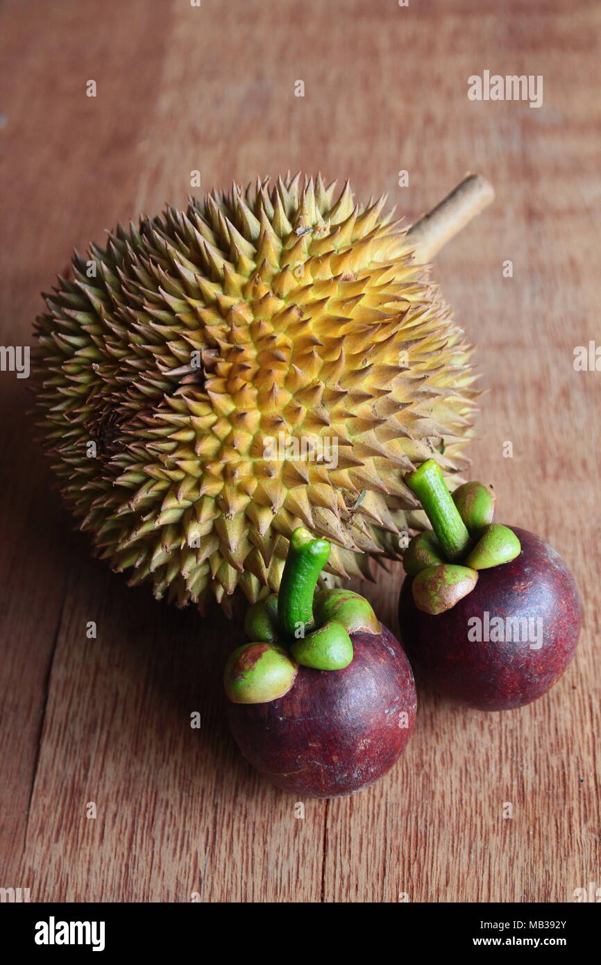 Durian and Purple Mangosteen. King and Queen of fruits Stock Photo Alamy
