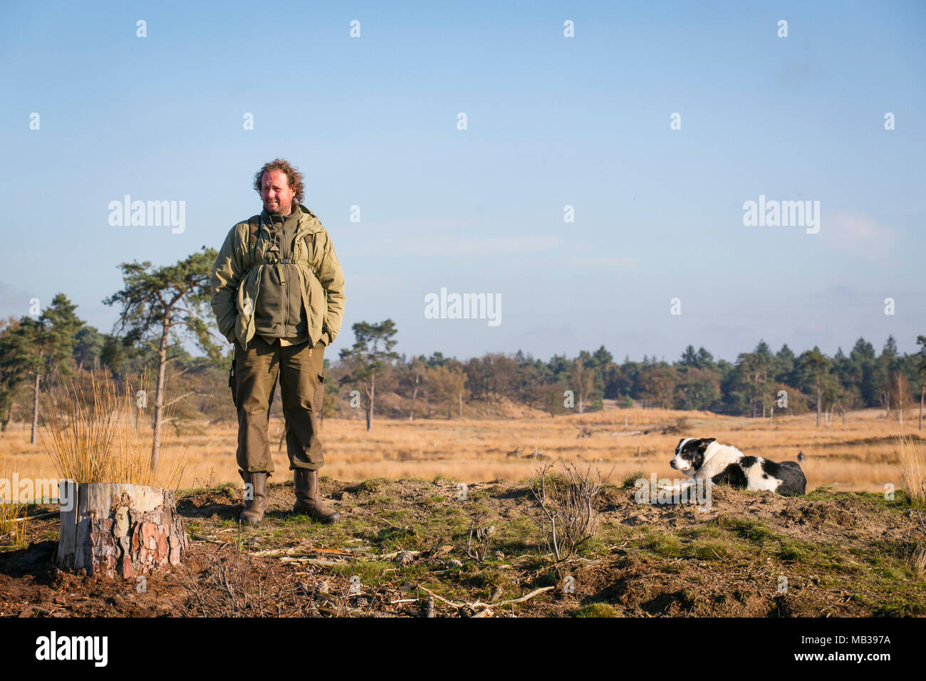 Shepherd wit sheepdog border collie at sunny autumn day at  National Park the 'Loonse en Drunense Duinen' in the Netherlands Stock Photo