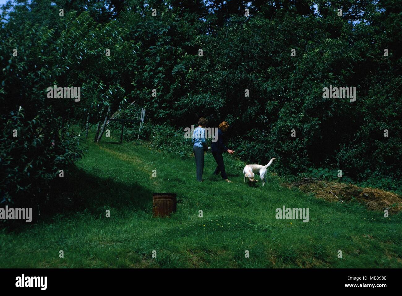 Vintage archival photograph taken in 1970 Stock Photo Alamy