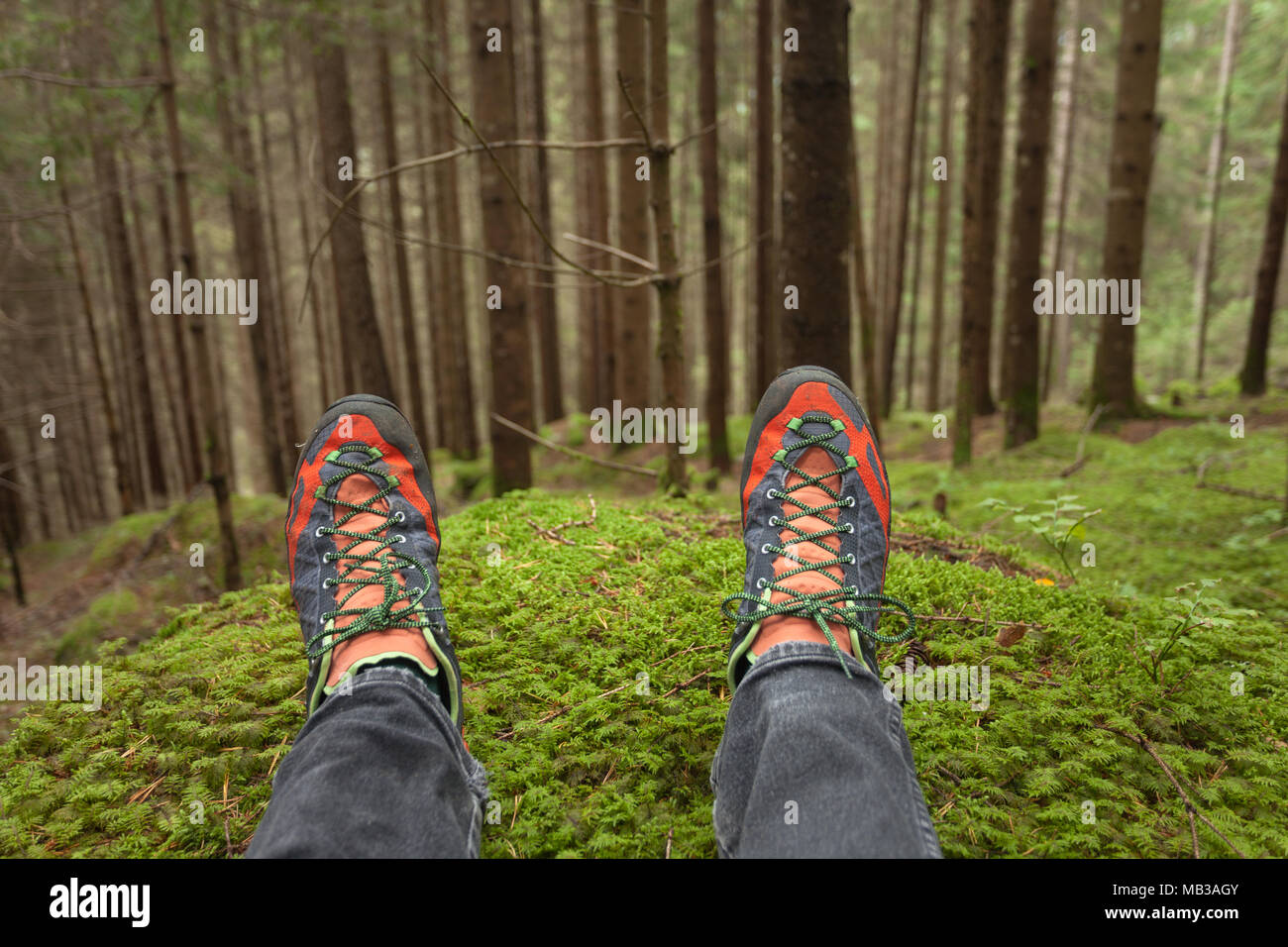 relaxing inside a deep woods Stock Photo