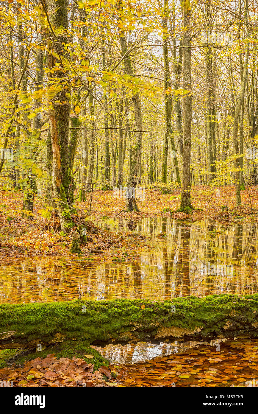 Soderasens national park hi-res stock photography and images - Alamy