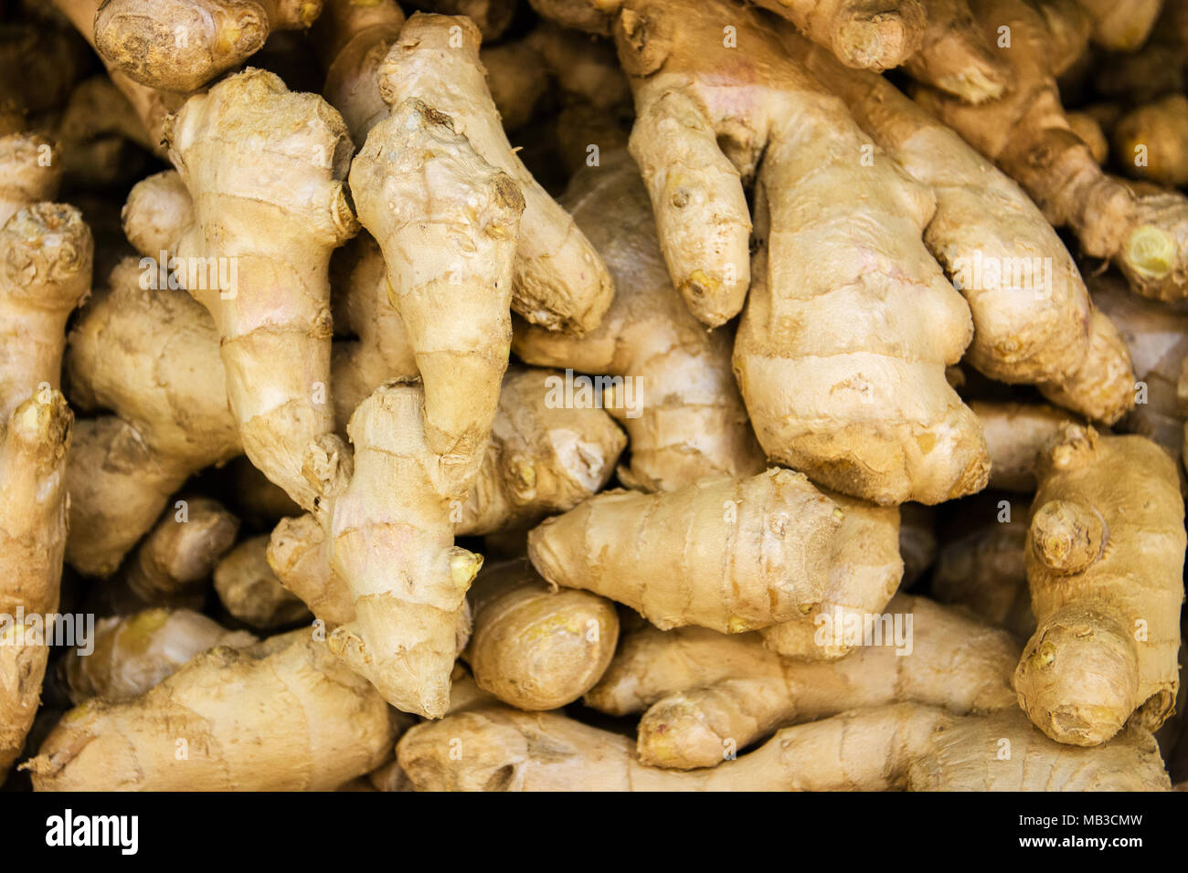 Horseradishsauce hires stock photography and images Alamy