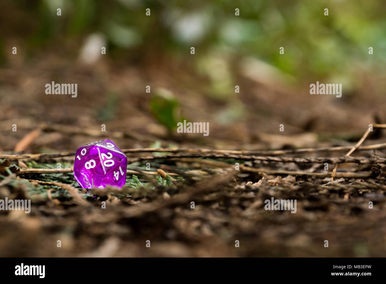 Gary gygax hires stock photography and images Alamy