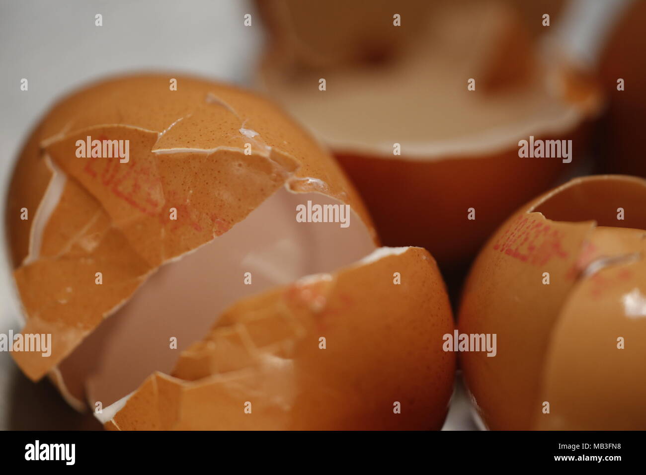 egg shells of broken eggs Stock Photo