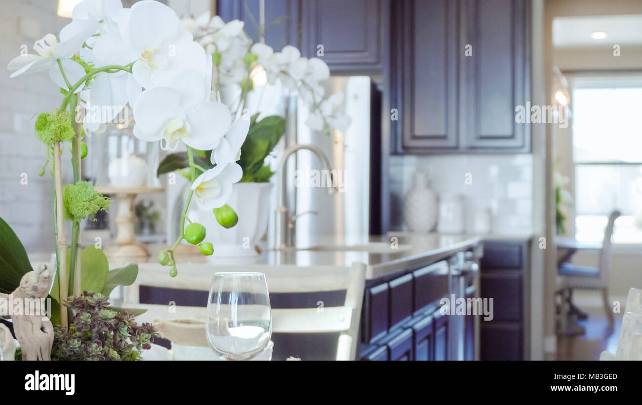 Modern residential kitchen in luxury house Stock Photo - Alamy