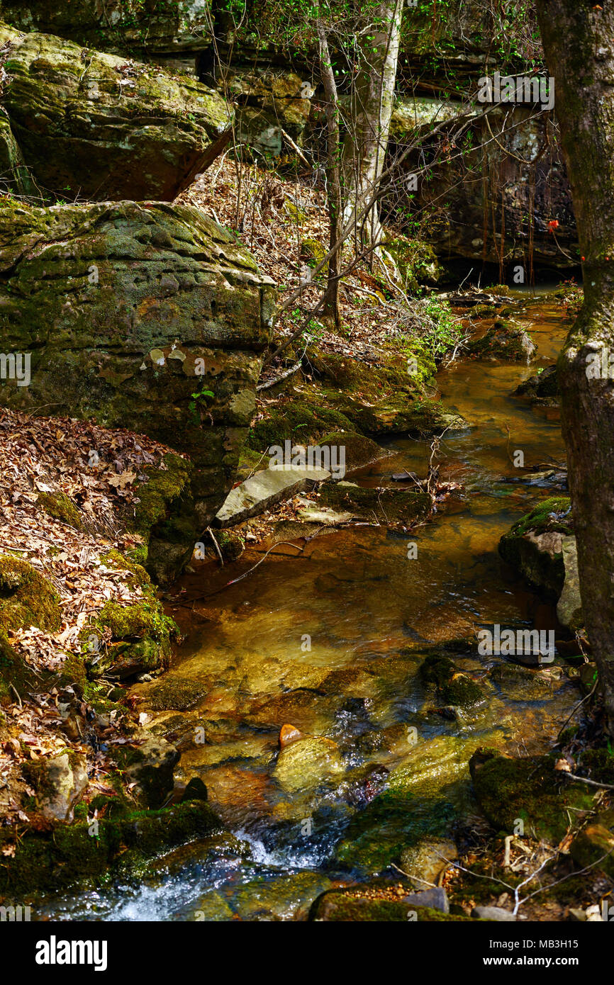 A clear running stream disappears under a boulder in Tishomingo State Park. Stock Photo