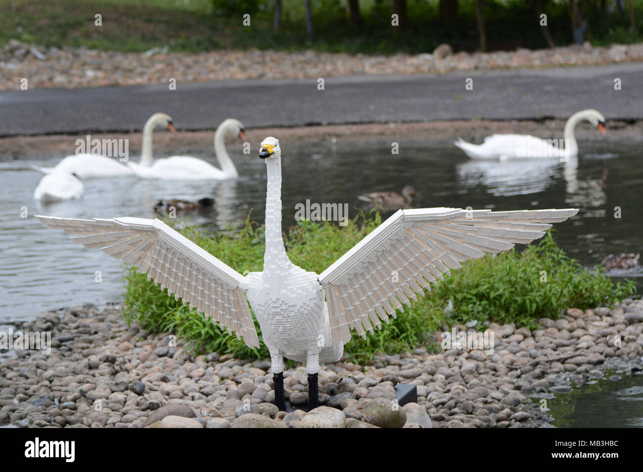 Lifesize Lego model of white swan at Wildfowl and Wetlands Trust, Slimbirdge, Gloucestershire Stock Photo