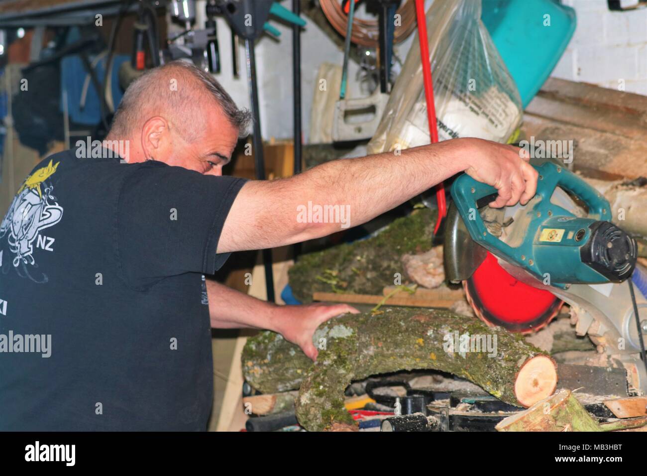 Middle aged man cutting up a log using a mitre saw / chop saw in a cluttered garage and not wearing any safety equipment Stock Photo